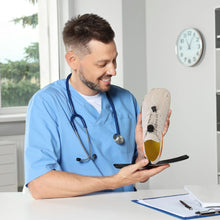 Lade das Bild in den Galerie-Viewer, FreeStep - ergonomische, schmerzlindernde & wasserdichte Barfußschuhe