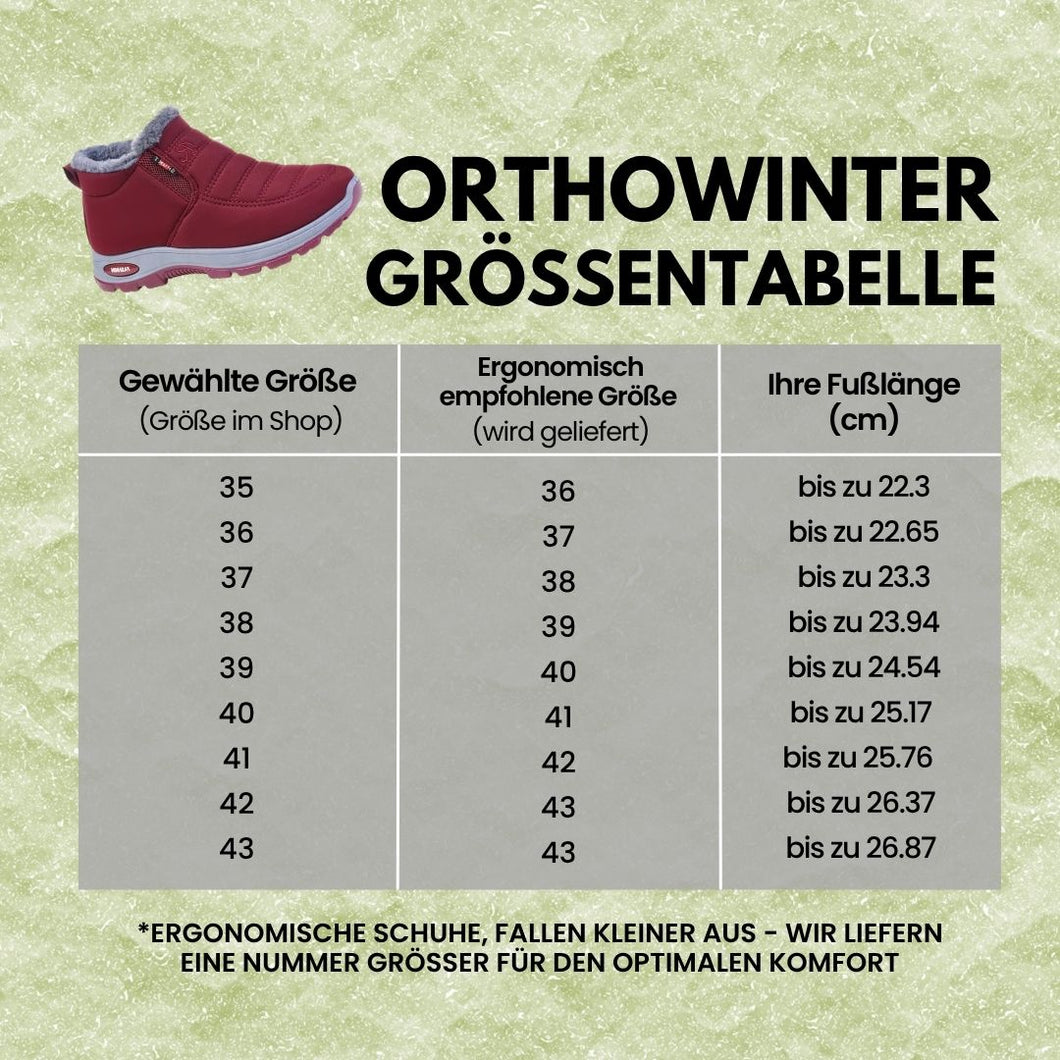 OrthoWinter